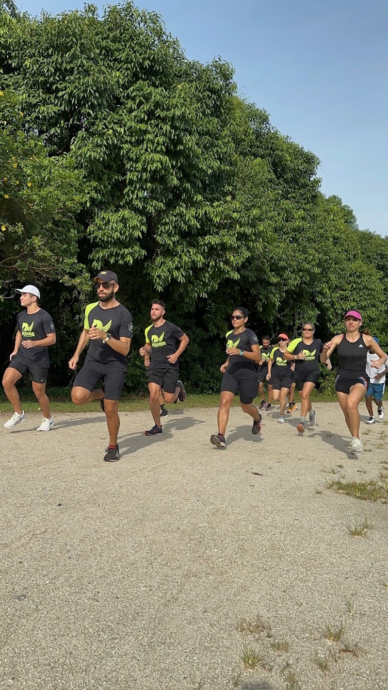 Pegasus Assessoria Esportiva